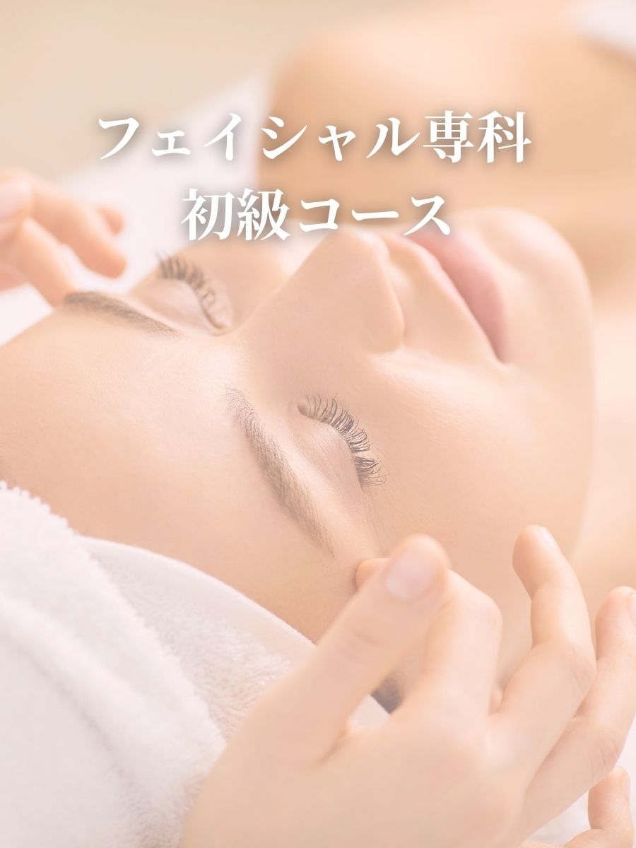 フェイシャル専科 初級コースのレッスンの様子